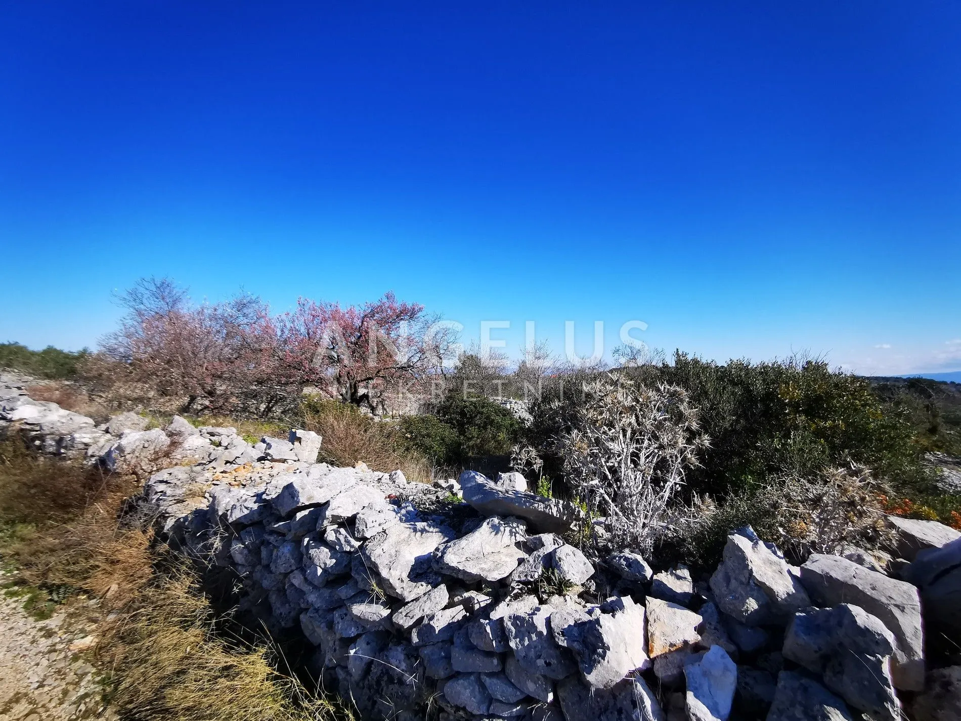 šolta - uređeni maslinik sa pogledom na more, 4800 m2 - slika 38