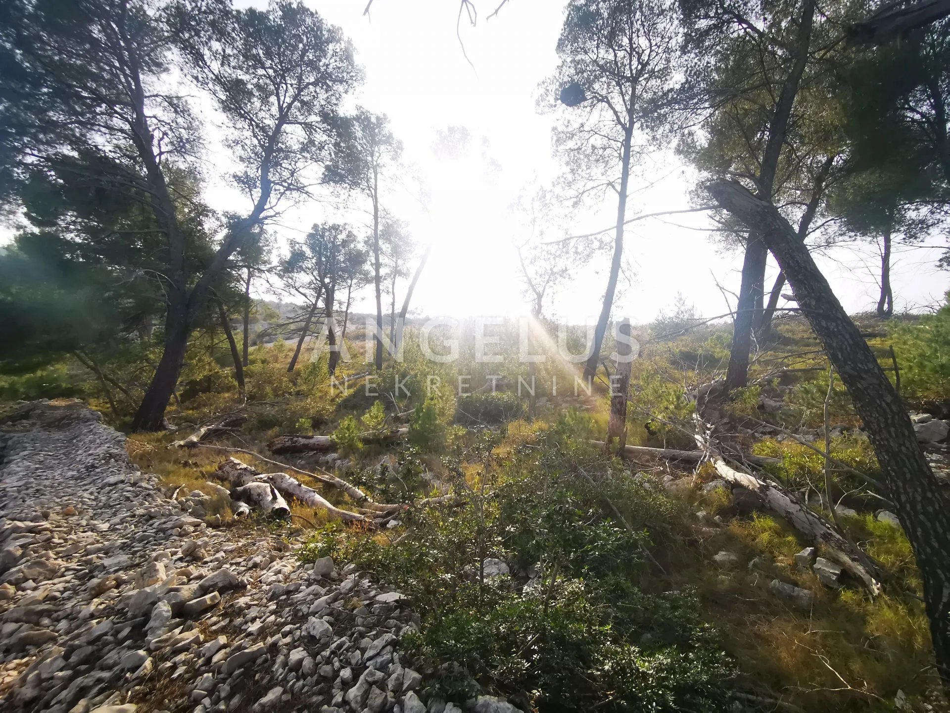 brač - polj.zem. sa objektom prvi red uz more, 2040 m2, prodaja - slika 12