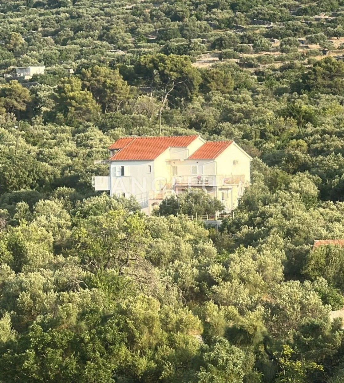 čiovo, slatine - apartmanska kuća sa bazenom prodaja - slika 2