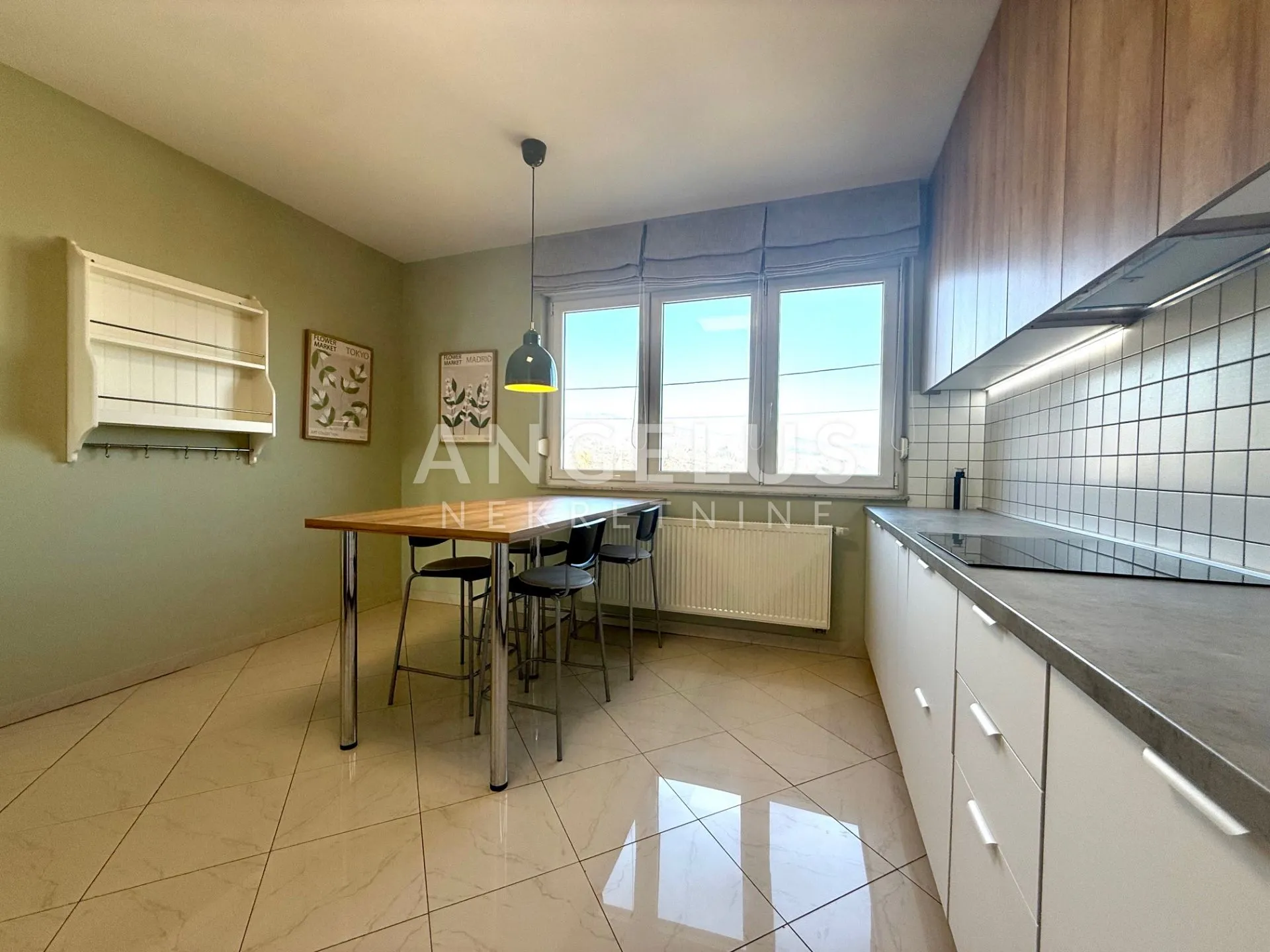 zagreb, šestine - kuća za najam, 240 m2 - slika 13