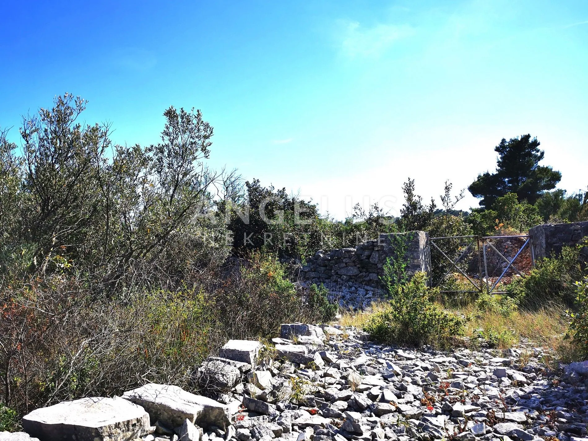 šolta, nečujam - maslinik sa 240 stabala, 8200 m2, prodaja - slika 13