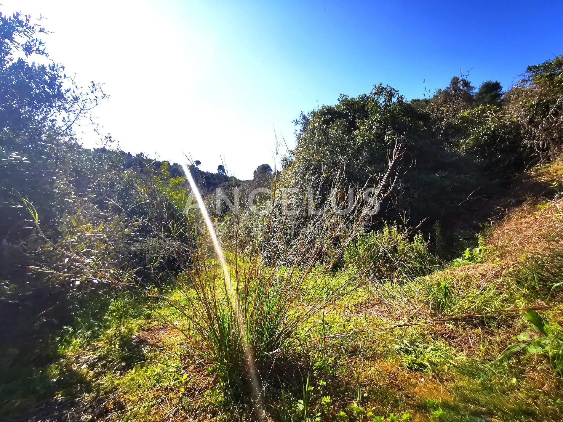 šolta, nečujam - poljoprivredno zemljište sa pogledom, 13000 m2, prodaja - slika 17