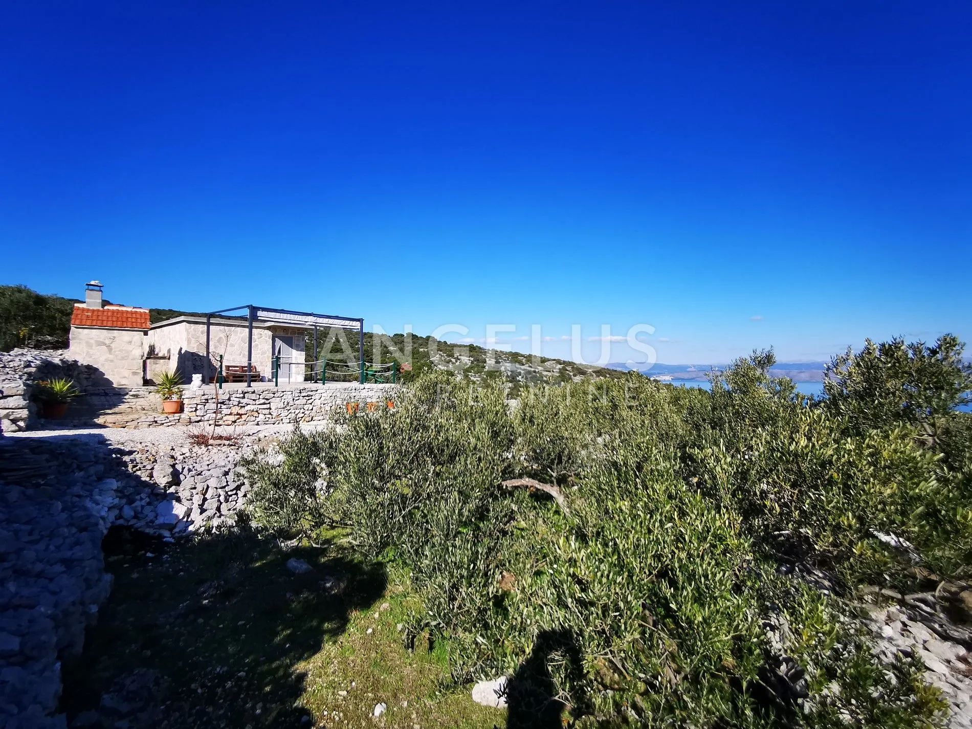 šolta - uređeni maslinik sa pogledom na more, 4800 m2 - slika 16