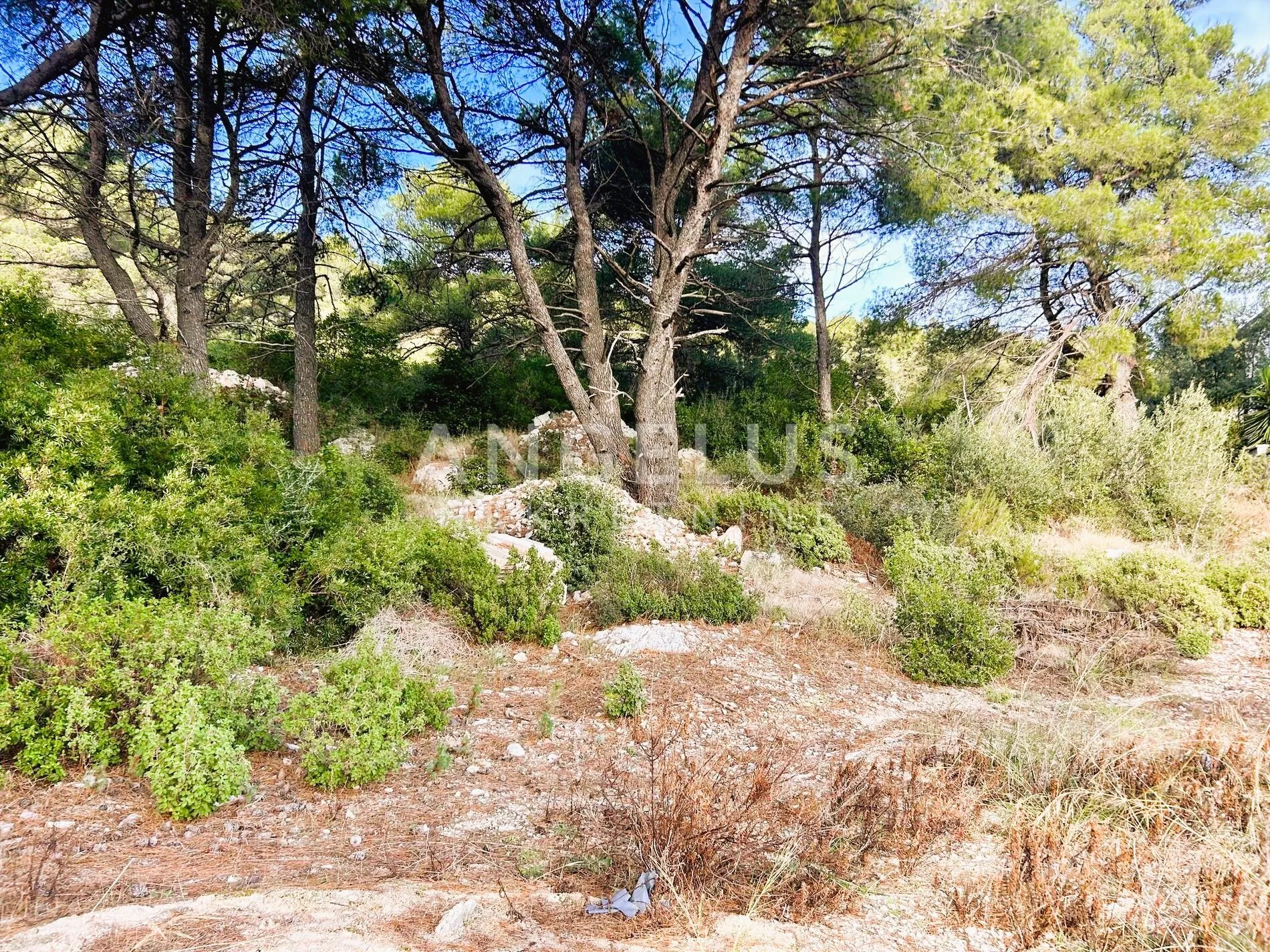 brač, sumartin - građ.zem. sa pogledom na more, prodaja - slika 15
