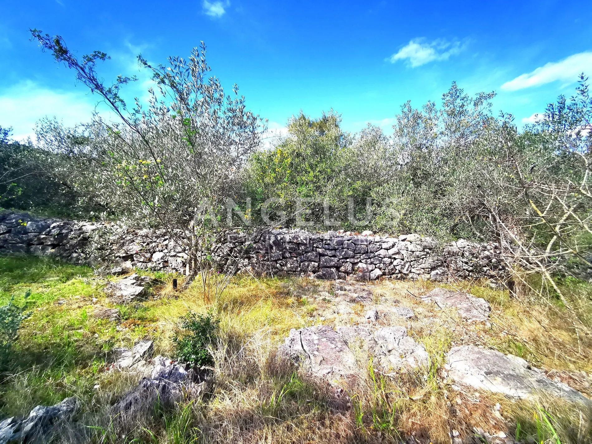 šolta, nečujam- građ.zemljište u centru mjesta, 8000m2, prodaja - slika 4