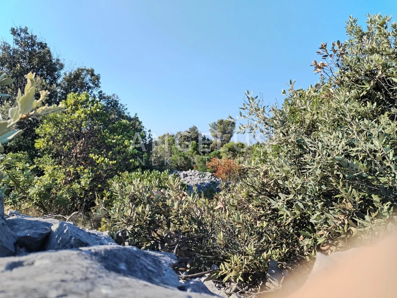 šolta, gornje selo - polj.zemljište sa pogledom na more, 6700 m2, prodaja - slika 6