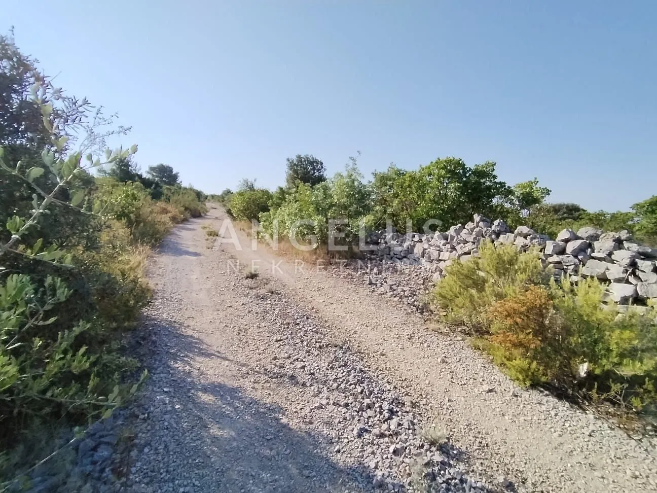 šolta, gornje selo - polj.zemljište sa pogledom na more, 6700 m2, prodaja - slika 5