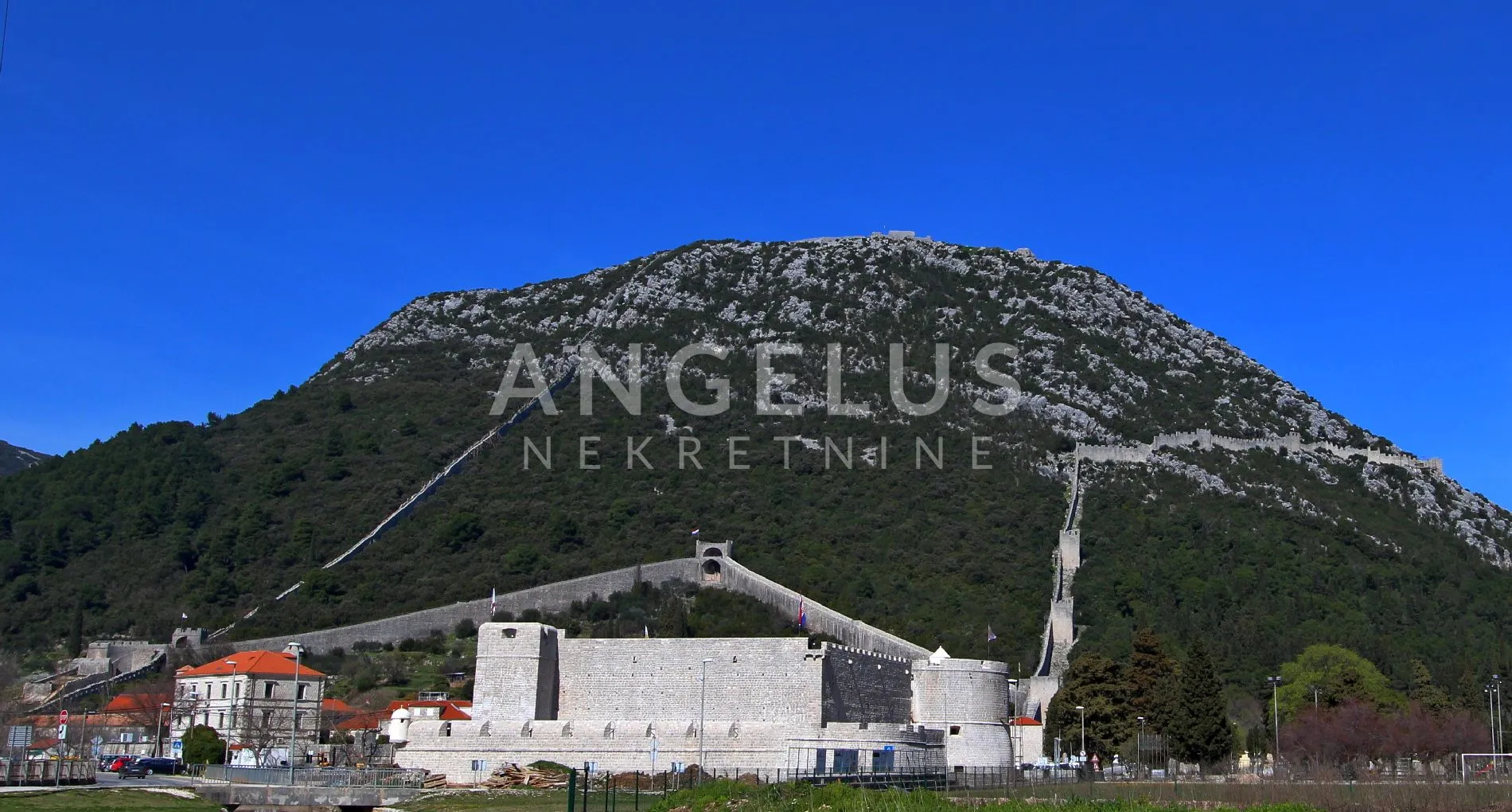 pelješac, ston - građevinsko zemljište južne orijentacije na blagoj padini, 22000 m2 - slika 8