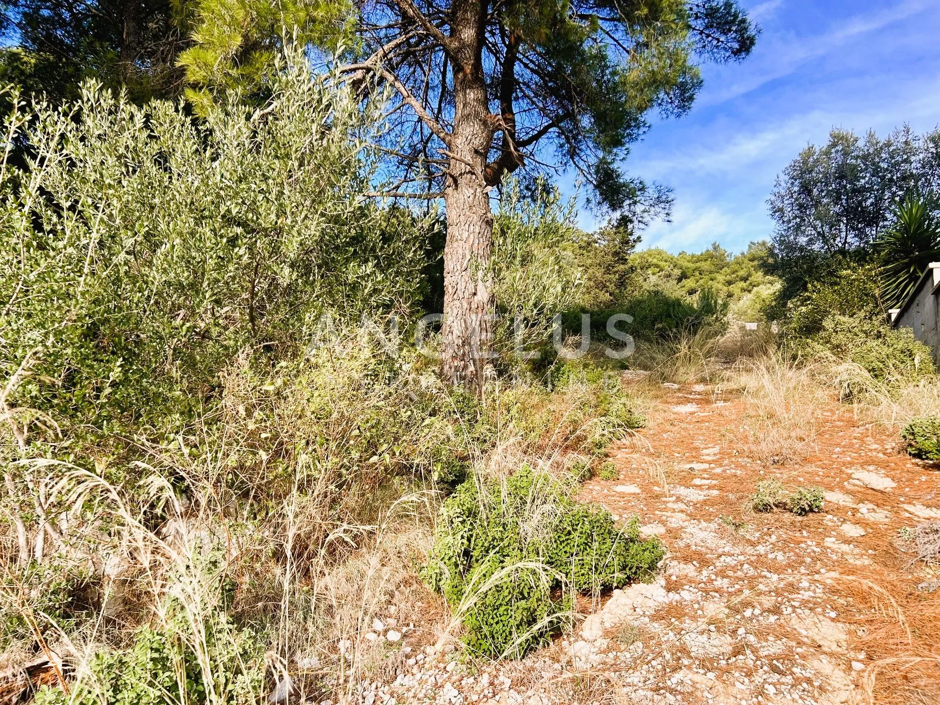 brač, sumartin - građ.zem. sa pogledom na more, prodaja - slika 11