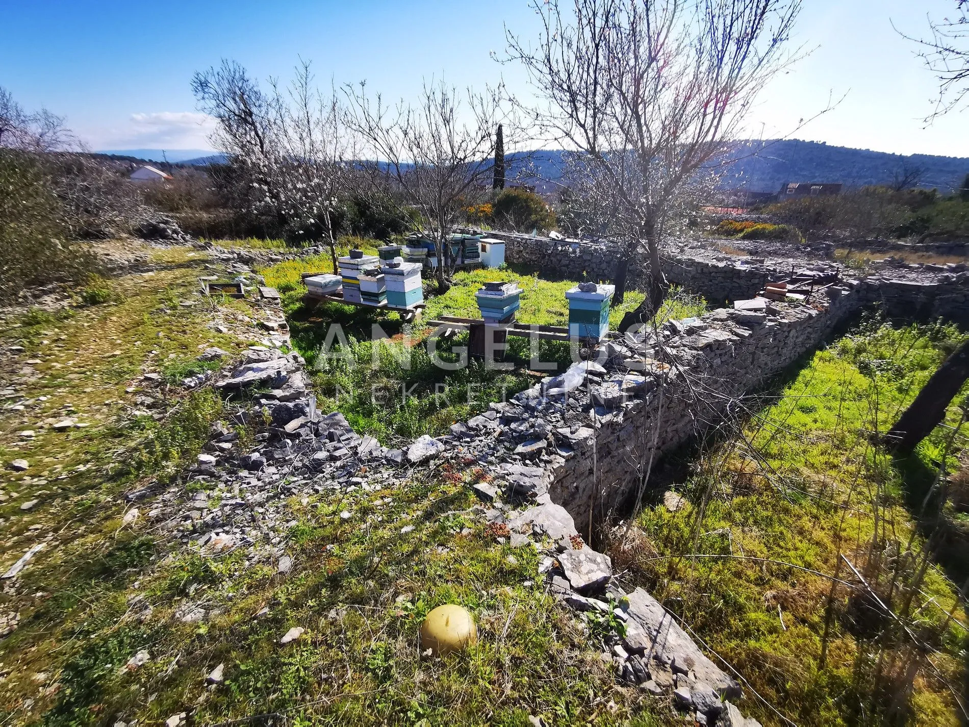 šolta - uređeni maslinik sa pogledom na more, 4800 m2 - slika 40