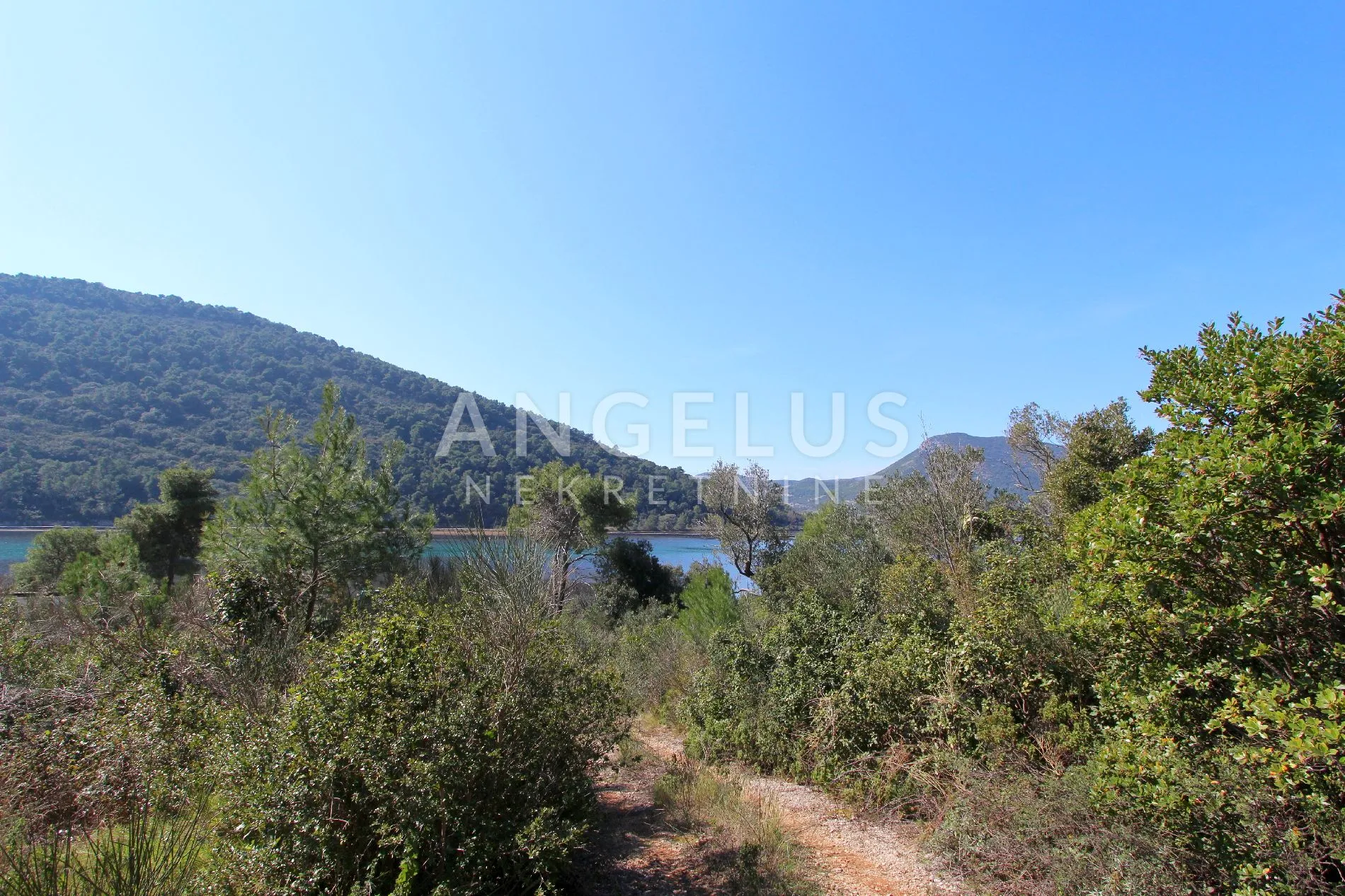pelješac, ston - građevinsko zemljište južne orijentacije na blagoj padini, 22000 m2 - slika 4