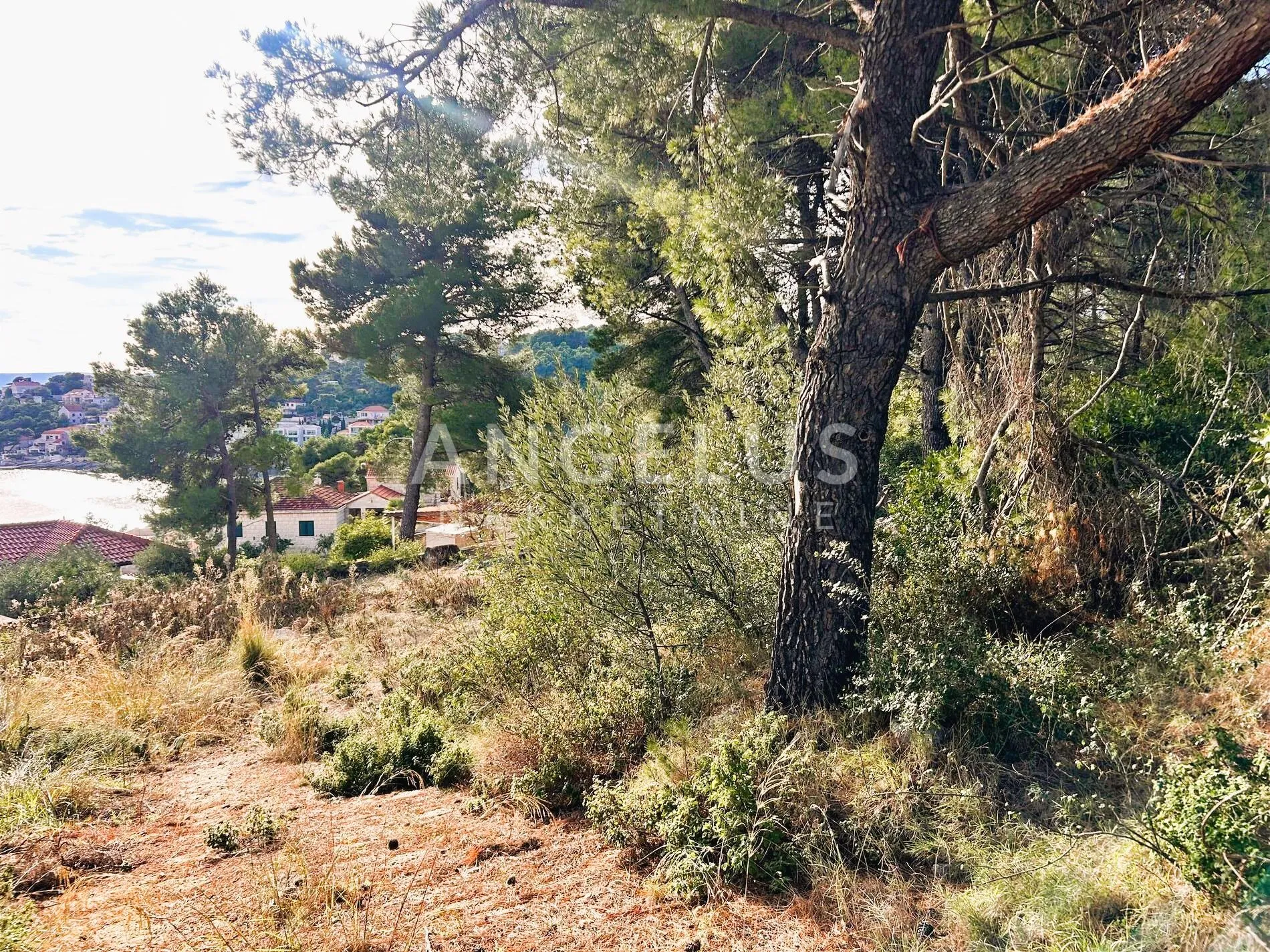 brač, sumartin - građ.zem. sa pogledom na more, prodaja - slika 32