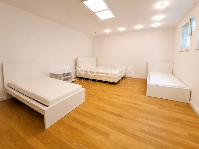 zagreb, blato-kuća za najam, 320 m2 - slika 8