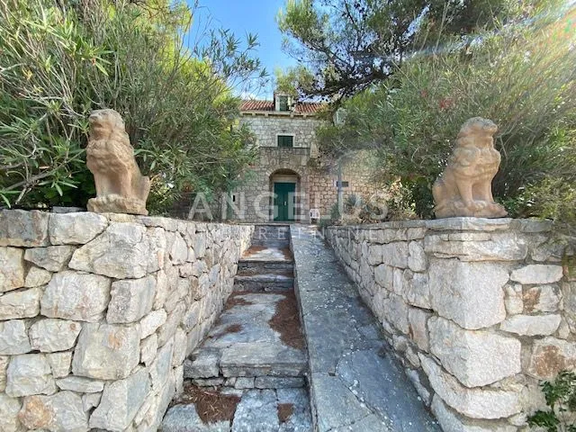 Tisno - stara villa na parceli od 10.000m2 s vinogradom i maslinikom