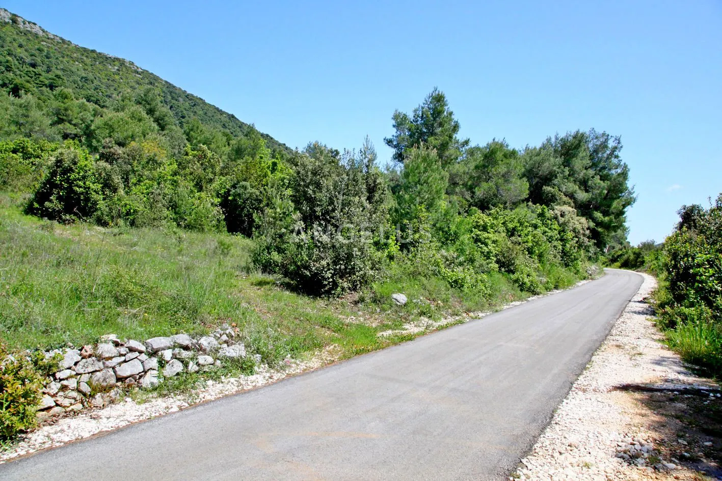 pelješac, ston – građevinsko zemljište na osami – posebna lokacija - slika 5
