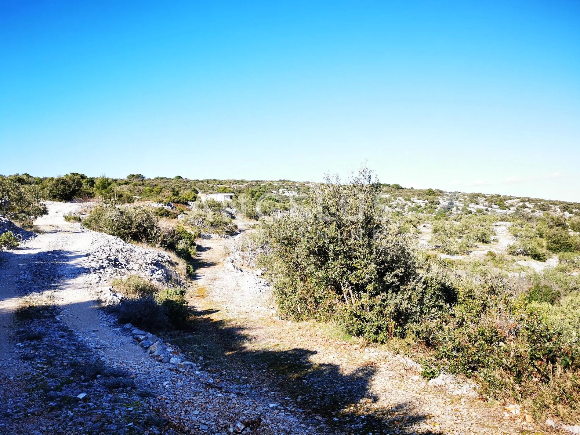 šolta - uređeni maslinik sa pogledom na more, 4800 m2 - slika 11