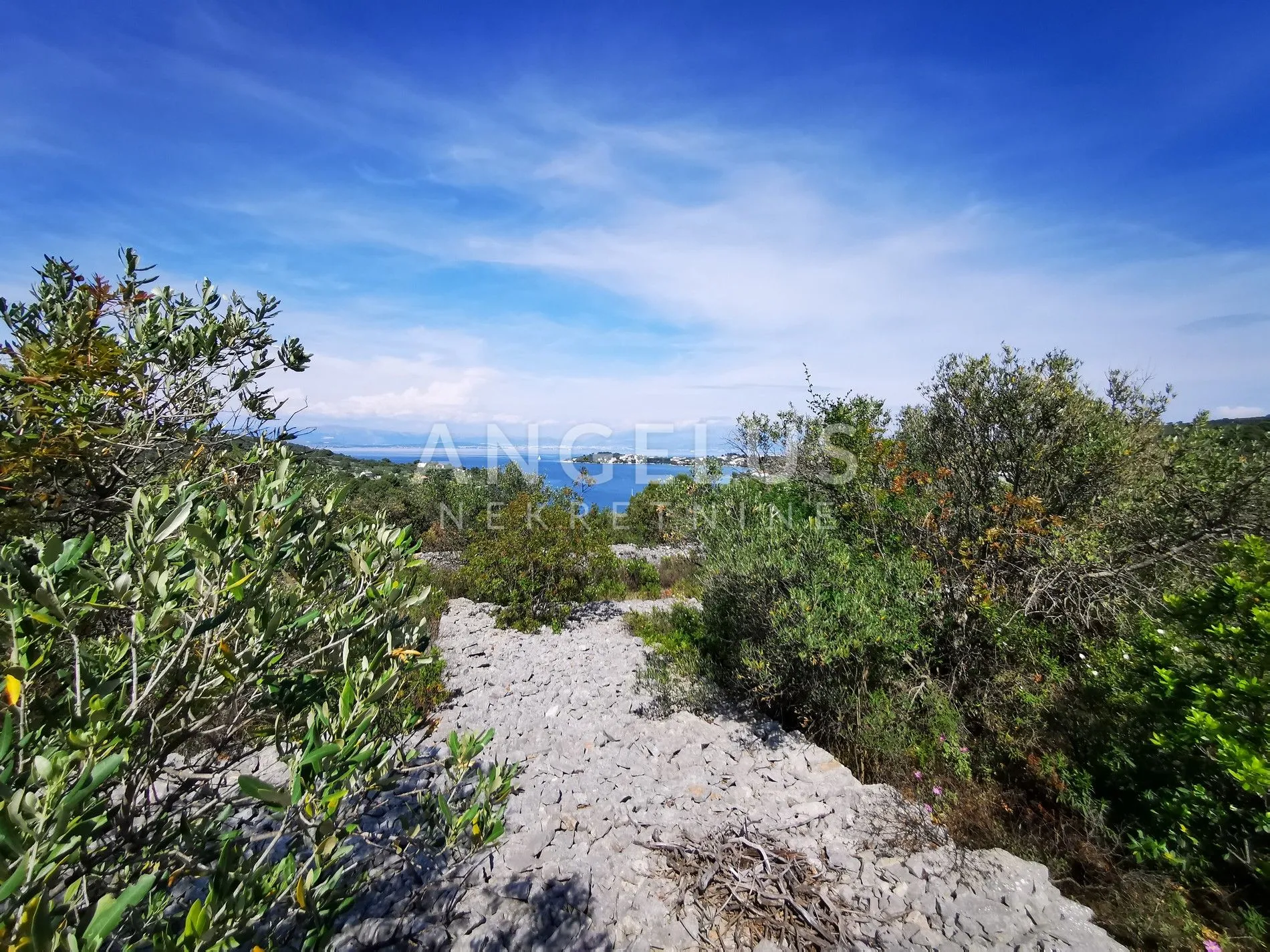 šolta, nečujam - maslinik sa 240 stabala, 8200 m2, prodaja - slika 4
