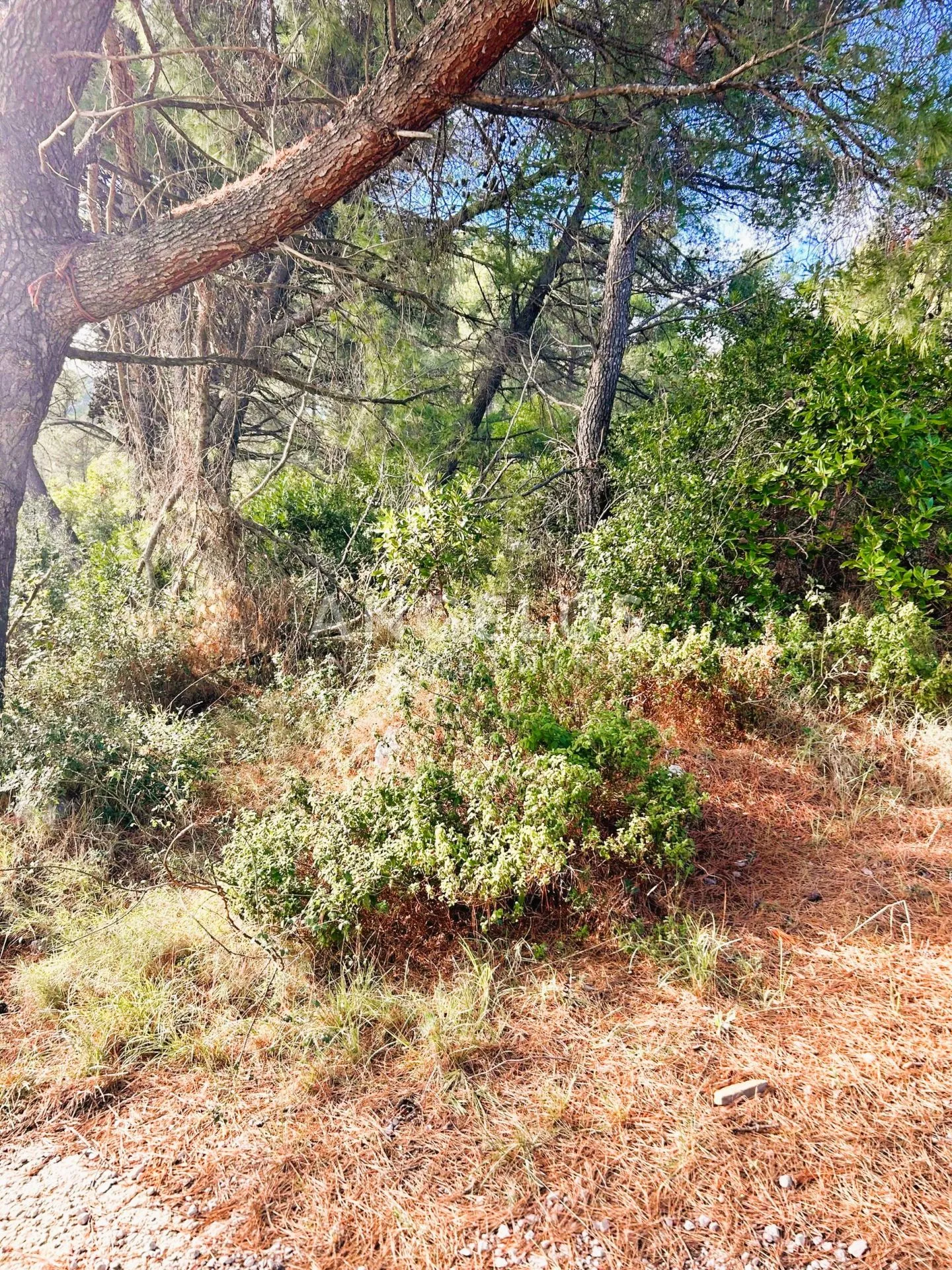 brač, sumartin - građ.zem. sa pogledom na more, prodaja - slika 33