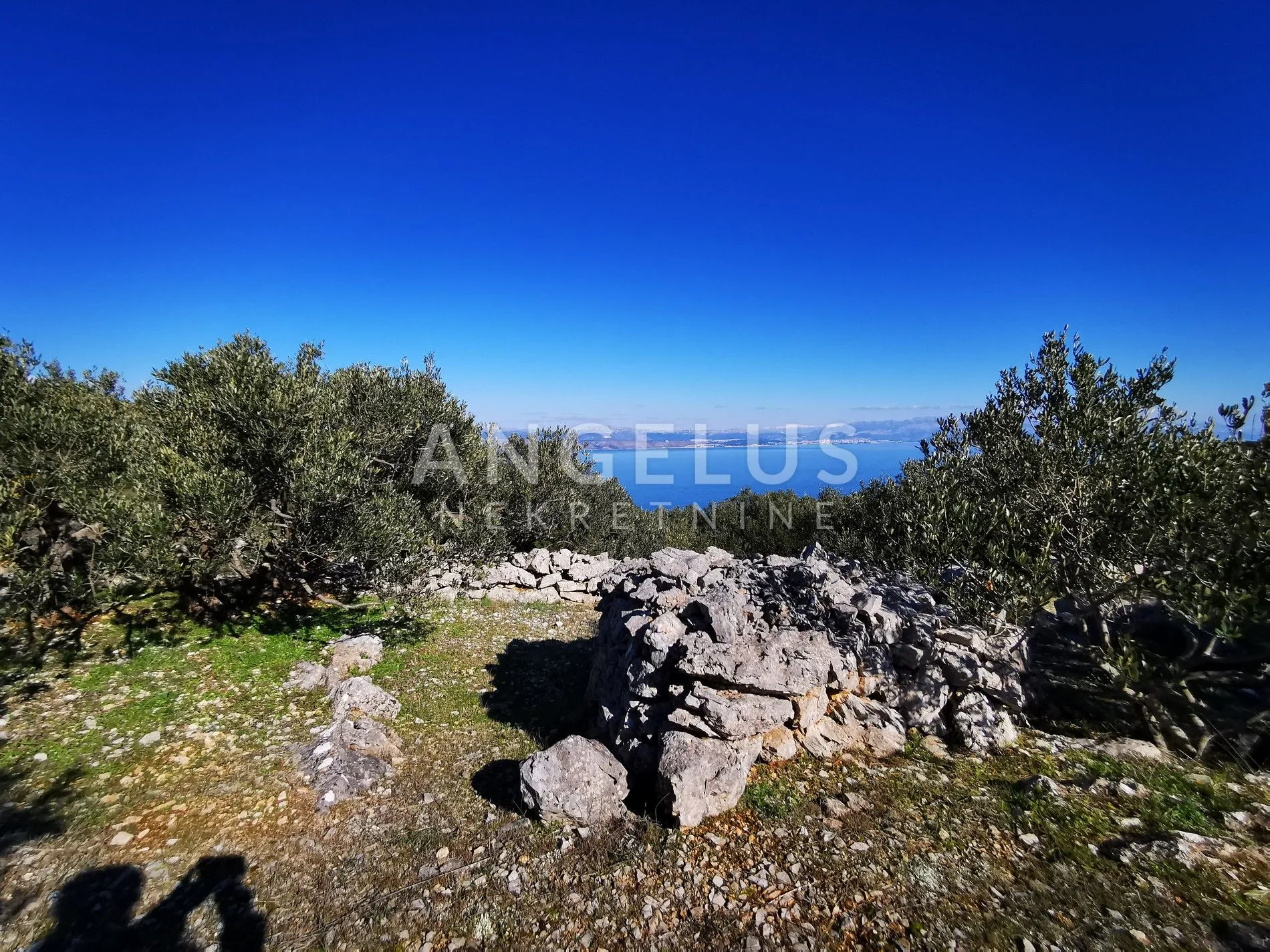 šolta - uređeni maslinik sa pogledom na more, 4800 m2 - slika 37