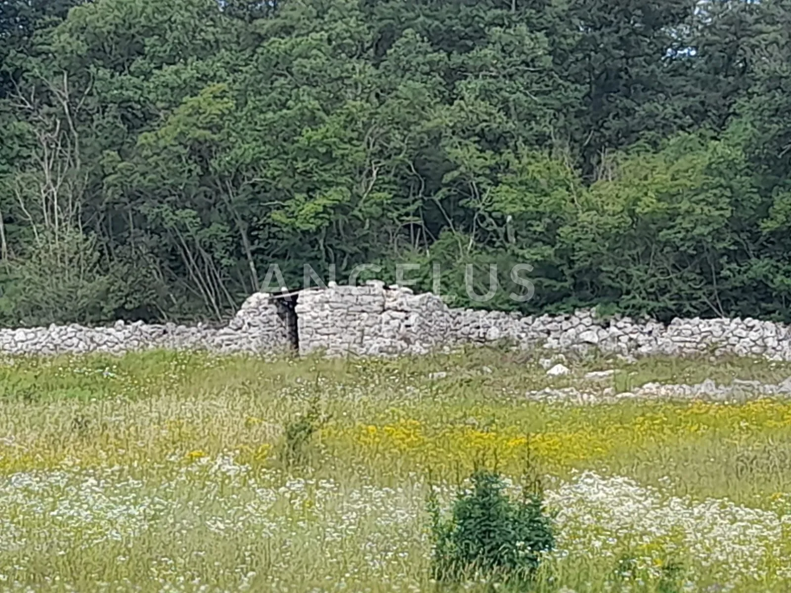 istra, rovinj - više poljoprivrednih zemljišta - slika 7