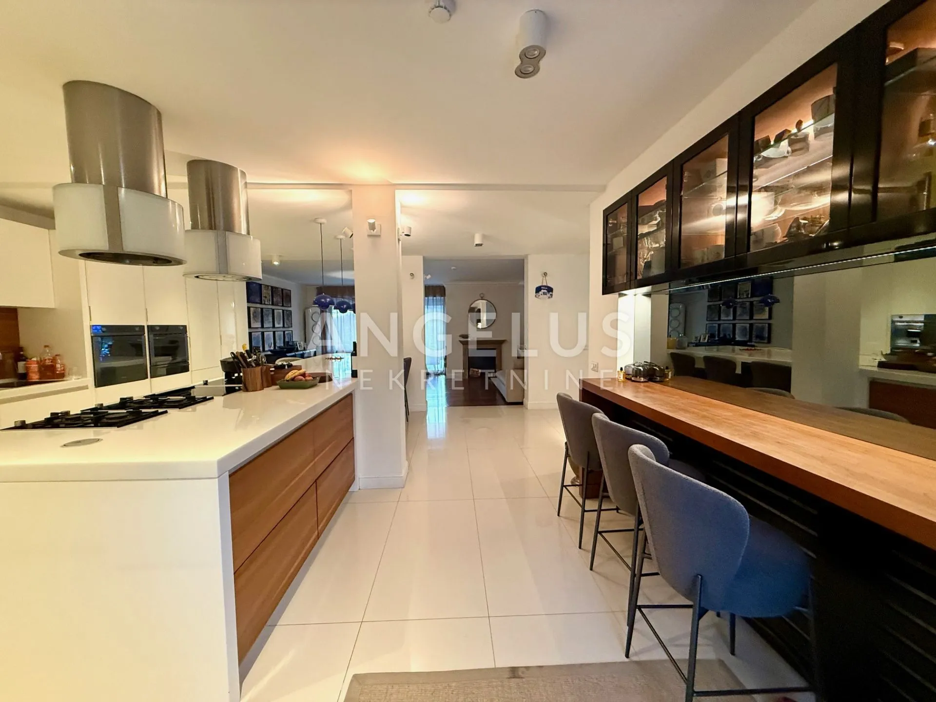 zagreb, šestine - moderna kuća 400m2 s vrtom od 1000m2 - slika 1
