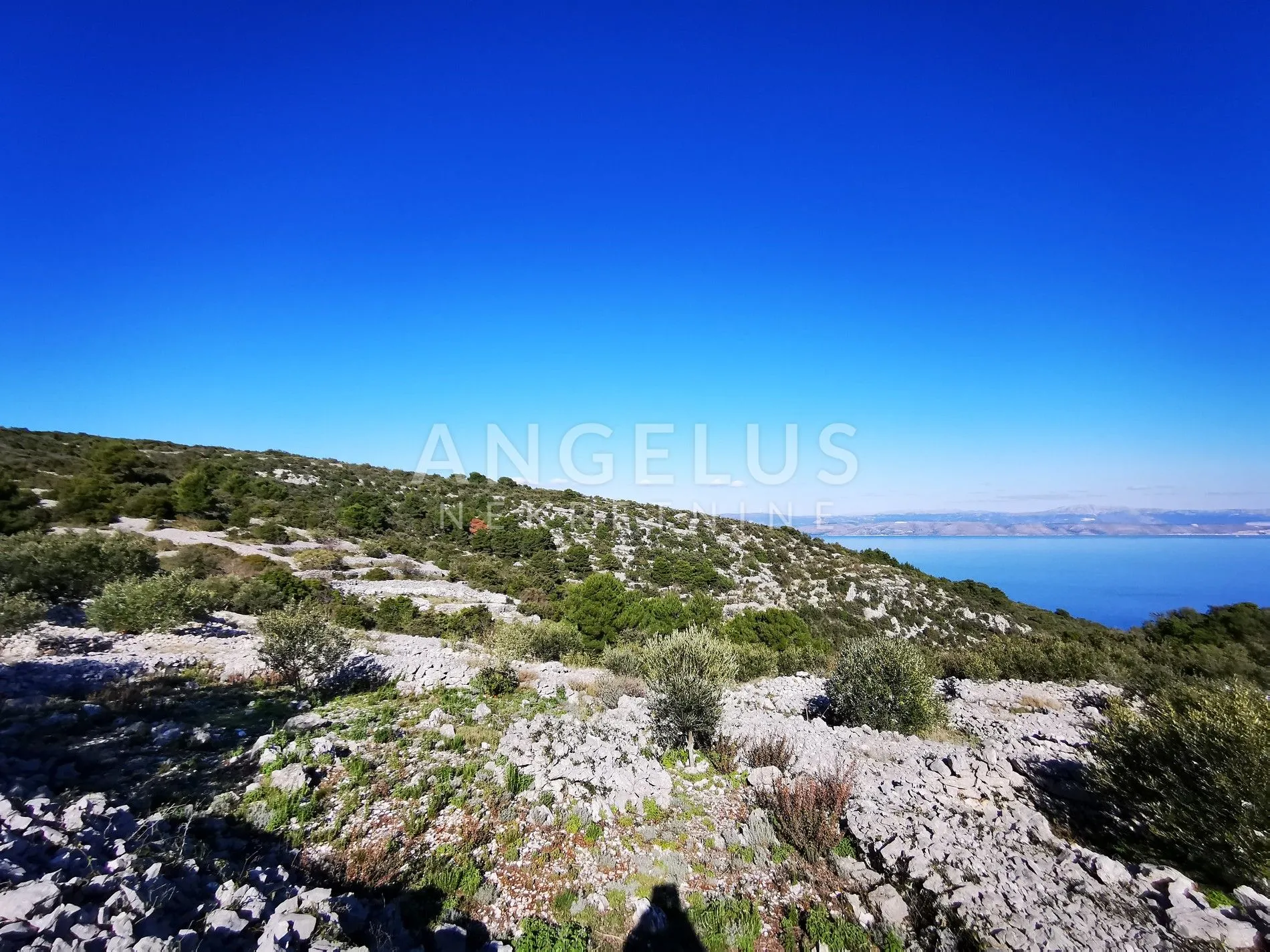 šolta - uređeni maslinik sa pogledom na more, 4800 m2 - slika 29