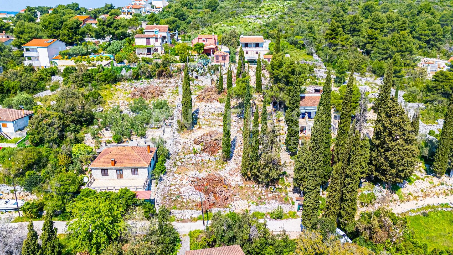šolta, maslinica - građ. zemljište u blizini mora, 1312 m2, prodaja - slika 2