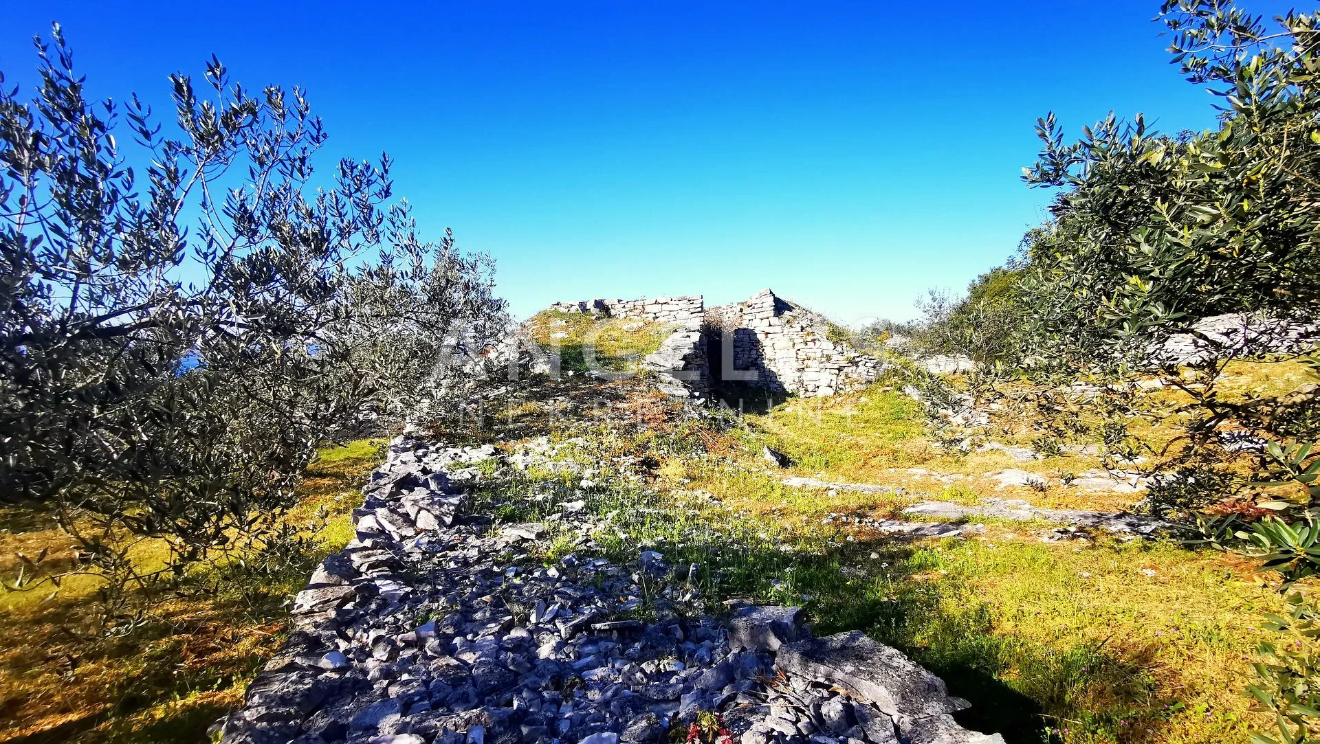 šolta, nečujam - građ.zemljište sa pogledom na more, 5100 m2 - slika 9