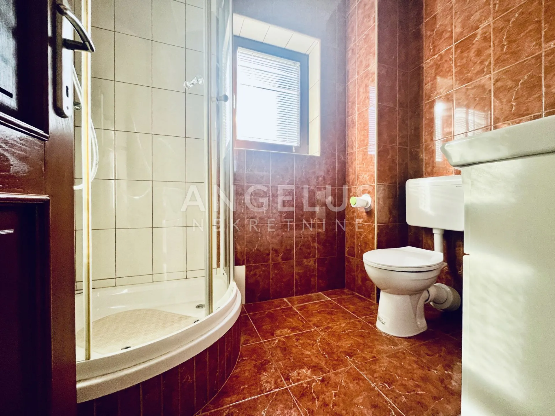 zagreb, šestine-kuća za najam, 300 m2 - slika 19