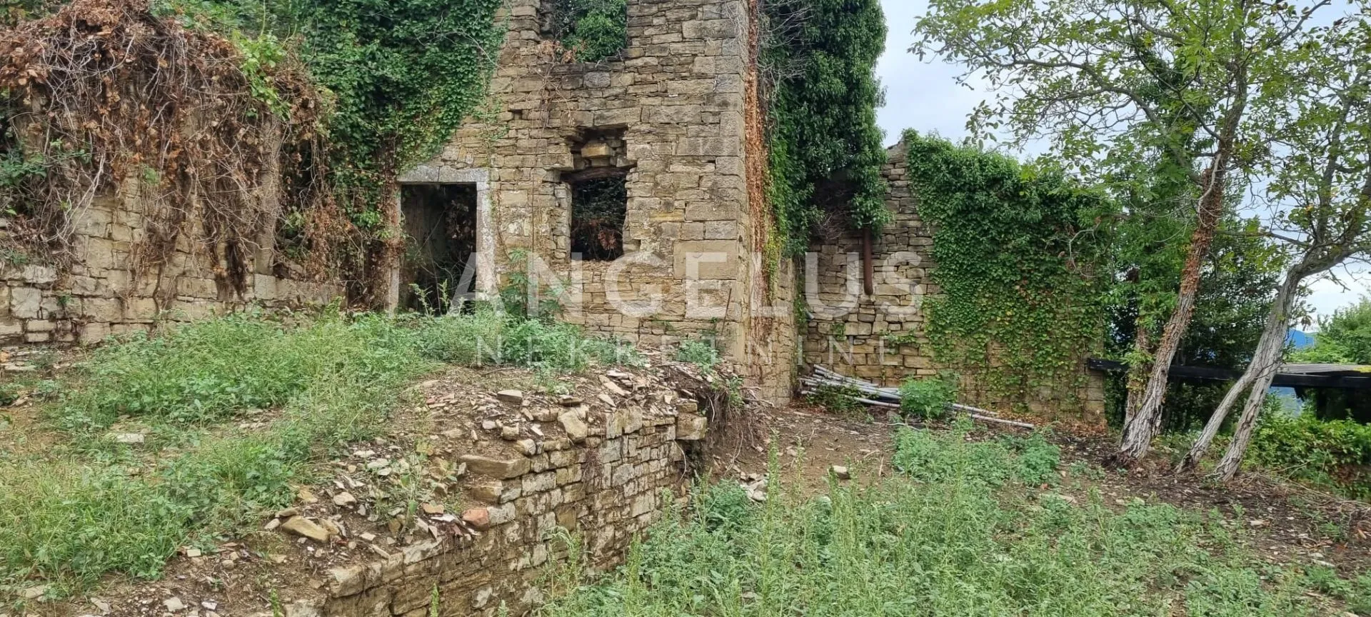 istra, motovun - imanje s objektima, 620m2 - slika 3