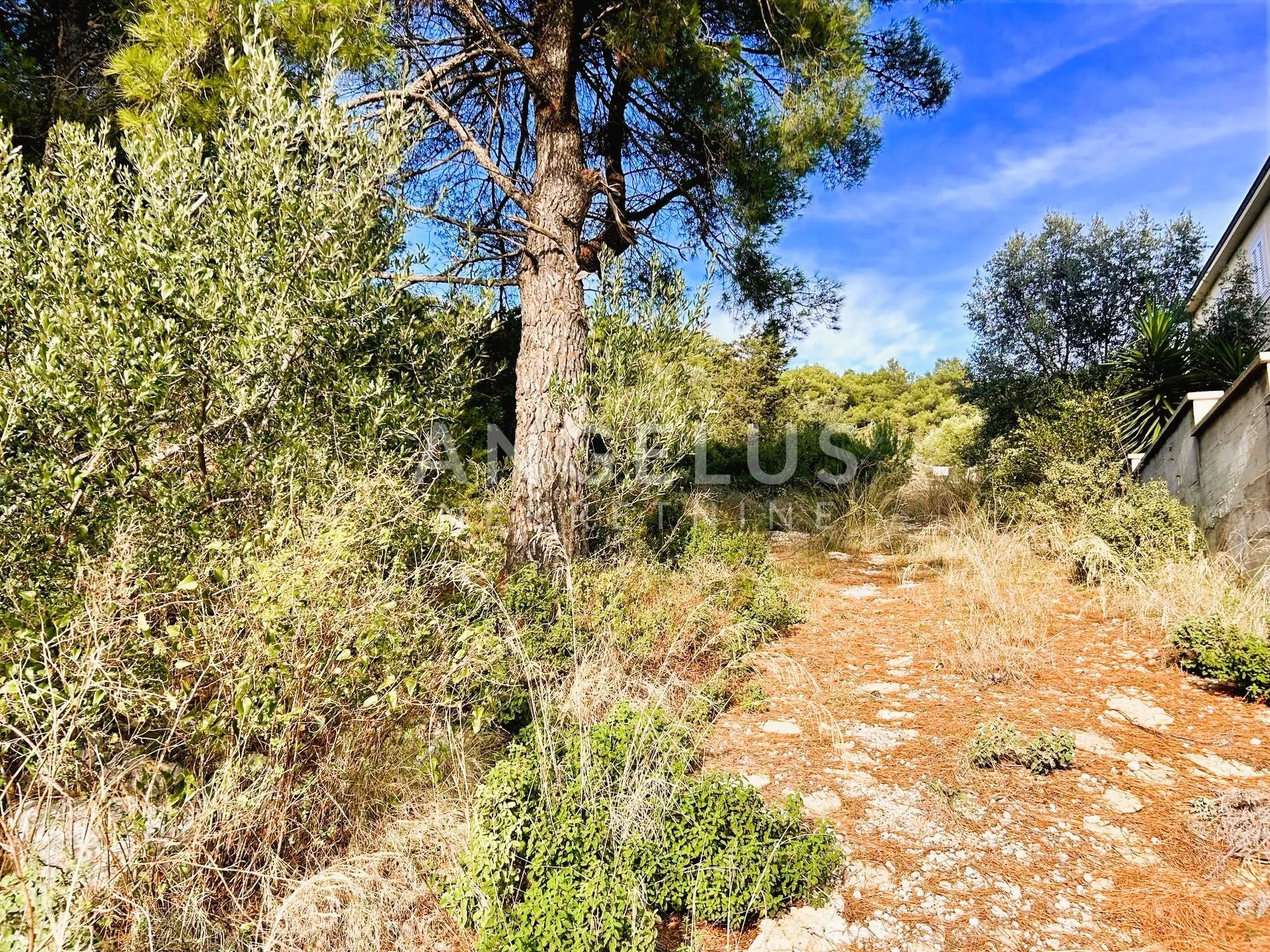 brač, sumartin - građ.zem. sa pogledom na more, prodaja - slika 26