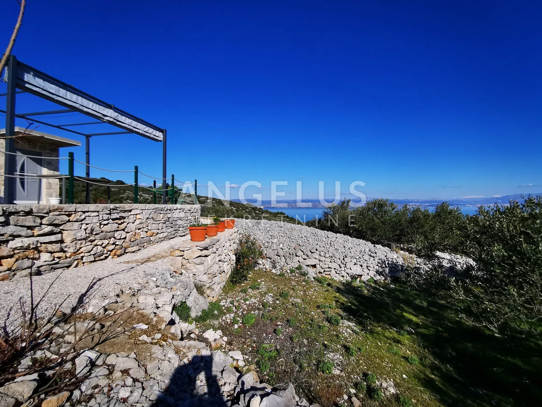 šolta - uređeni maslinik sa pogledom na more, 4800 m2 - slika 18