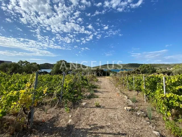 tisno - stara villa na parceli od 10.000m2 s vinogradom i maslinikom - slika 12