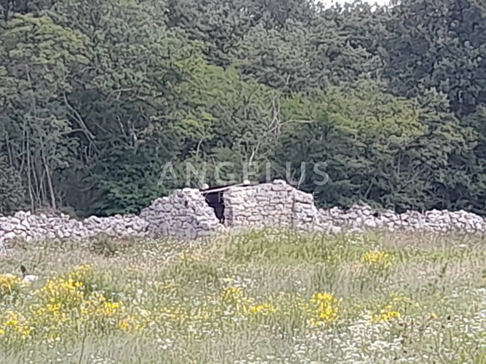 istra, rovinj - više poljoprivrednih zemljišta - slika 8