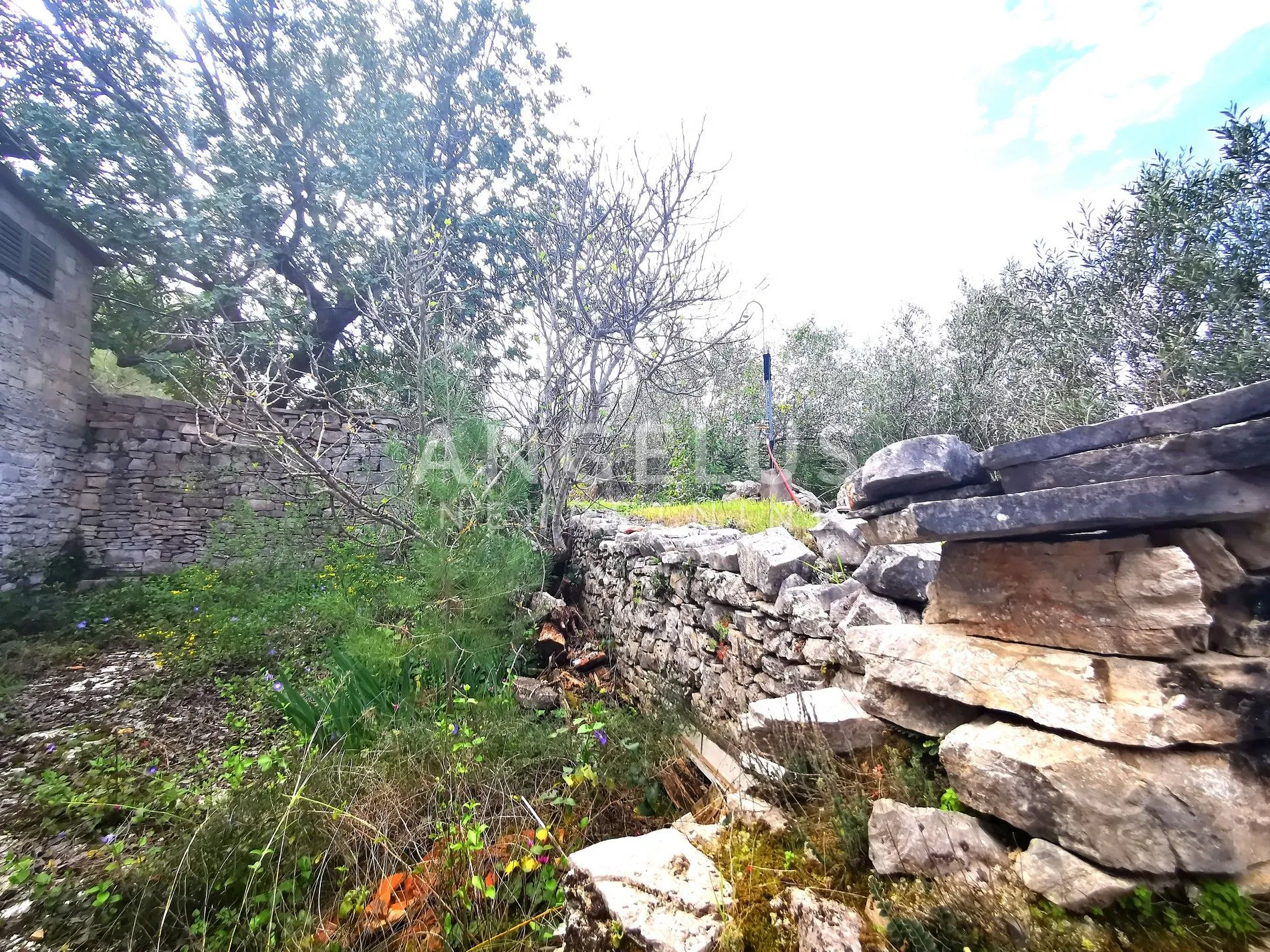 šolta, nečujam- građ.zemljište u centru mjesta, 8000m2, prodaja - slika 14