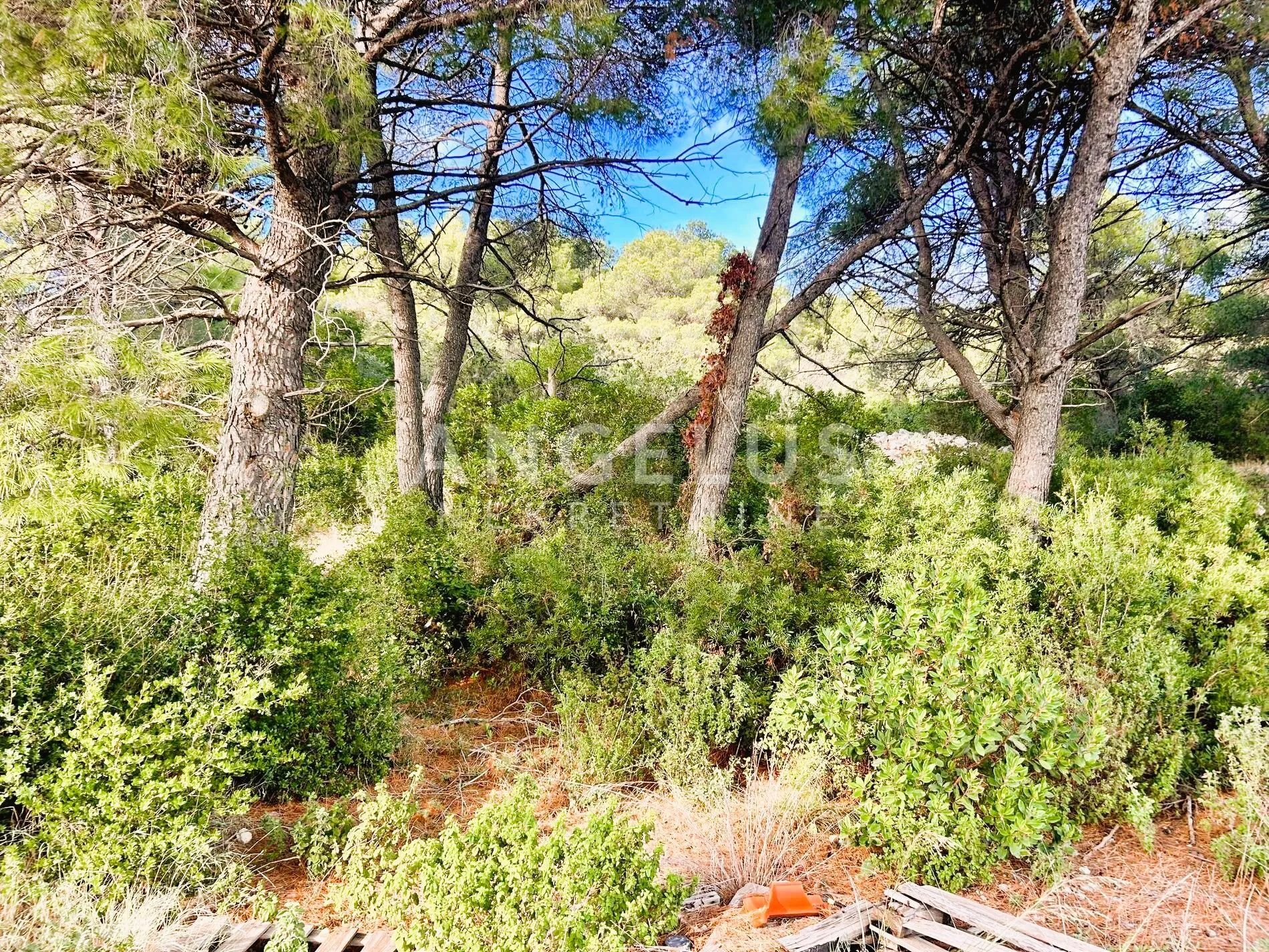 brač, sumartin - građ.zem. sa pogledom na more, prodaja - slika 16