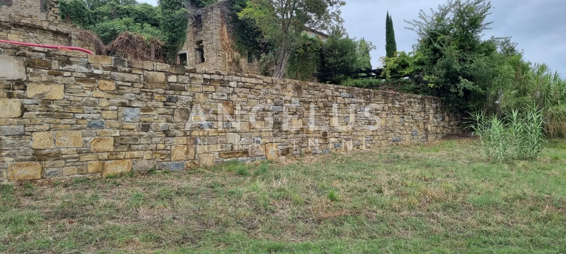istra, motovun - imanje s objektima, 620m2 - slika 6