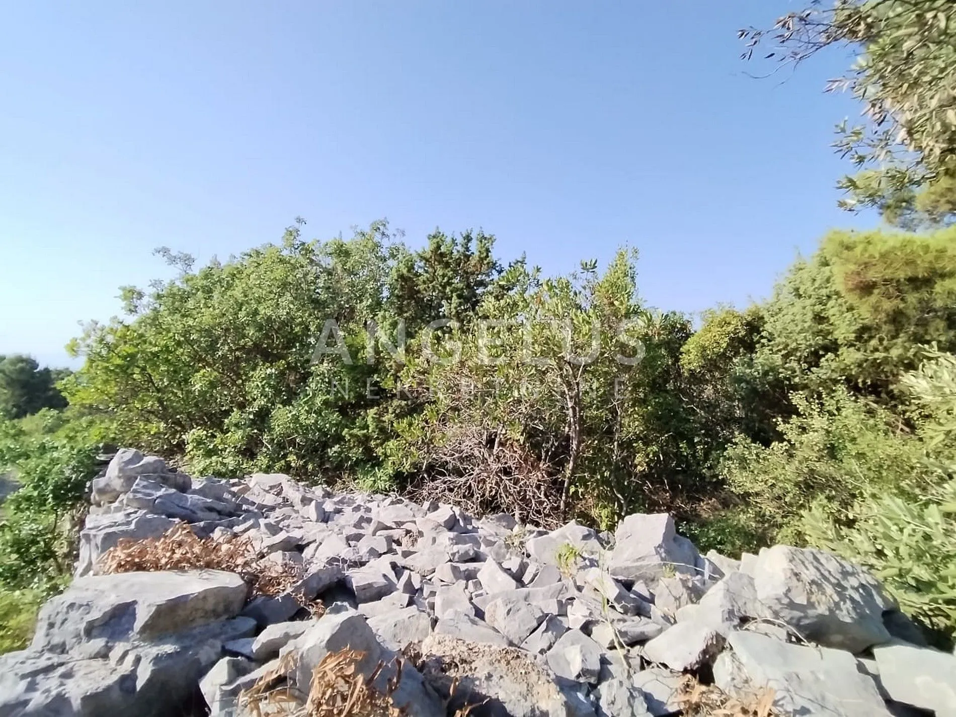 šolta, gornje selo - polj.zemljište sa pogledom na more, 6700 m2, prodaja - slika 4