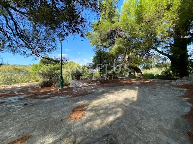 tisno - stara villa na parceli od 10.000m2 s vinogradom i maslinikom - slika 3