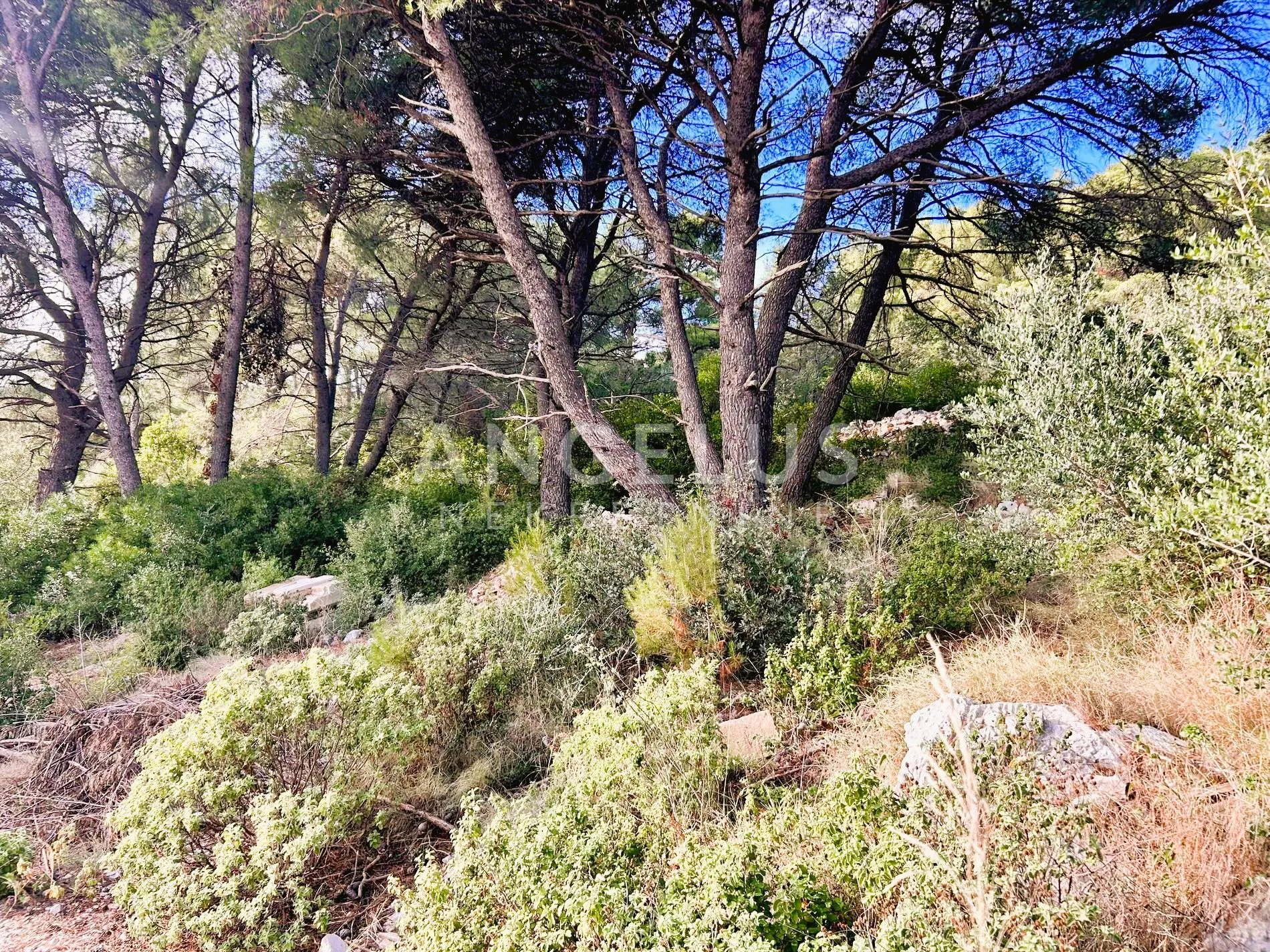 brač, sumartin - građ.zem. sa pogledom na more, prodaja - slika 27