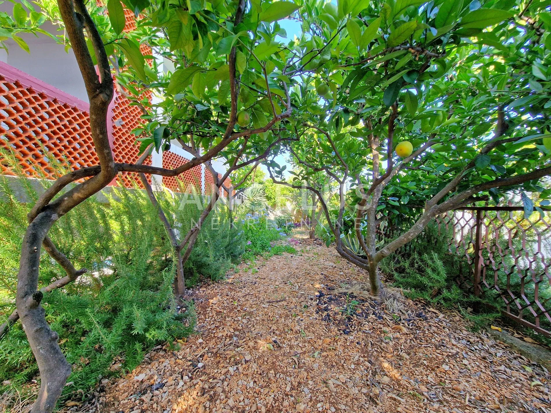 orebić, apartmanska kuća s fantastičnim pogledom na korčulu - slika 21