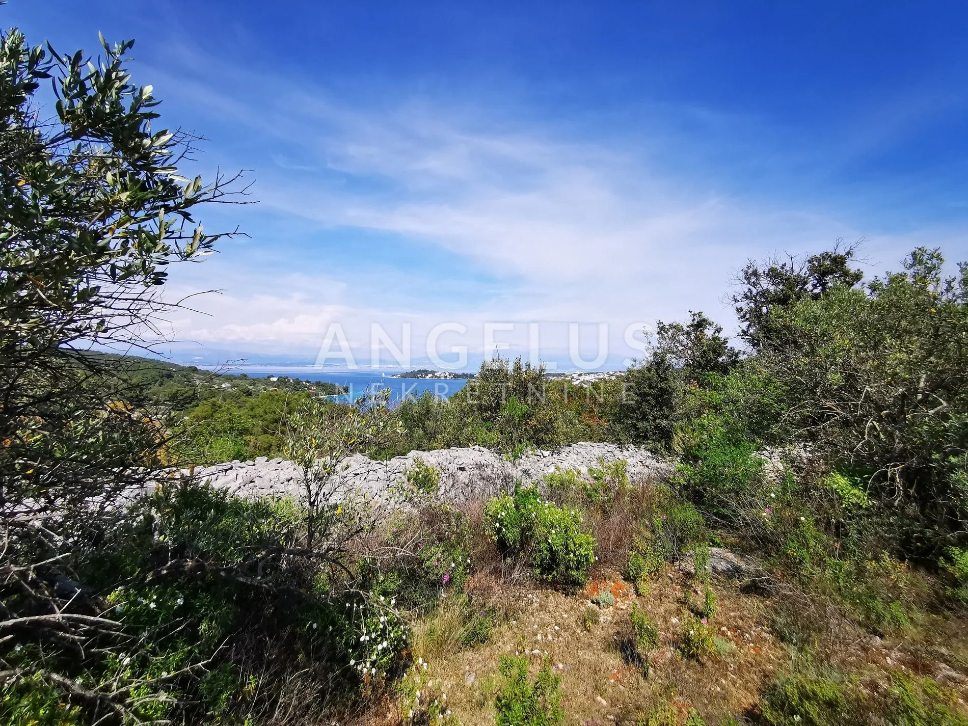 šolta, nečujam - maslinik sa 240 stabala, 8200 m2, prodaja - slika 6