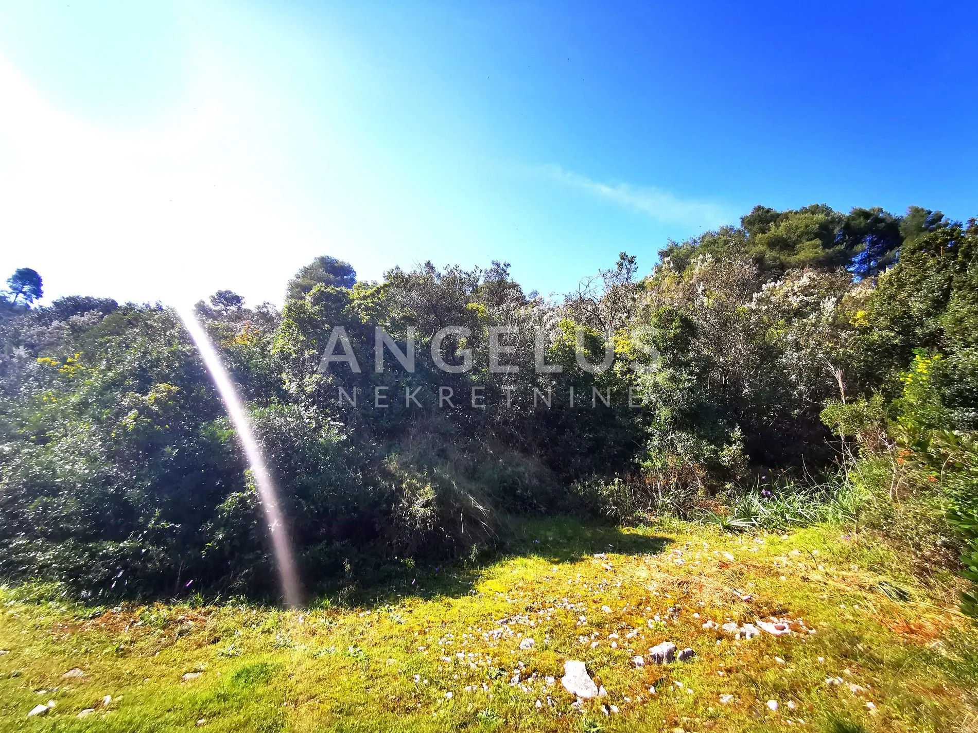 šolta, nečujam - poljoprivredno zemljište sa pogledom, 13000 m2, prodaja - slika 10