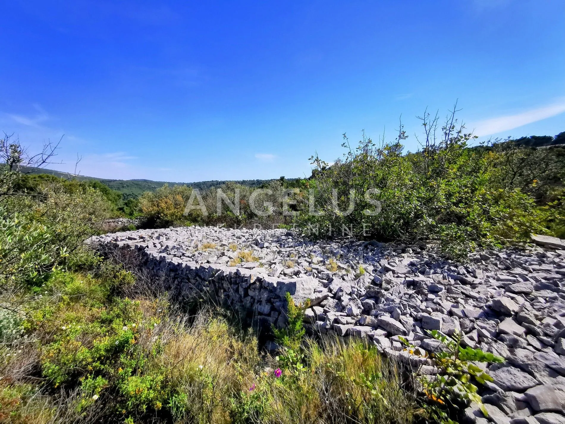 šolta, nečujam - maslinik sa 240 stabala, 8200 m2, prodaja - slika 12