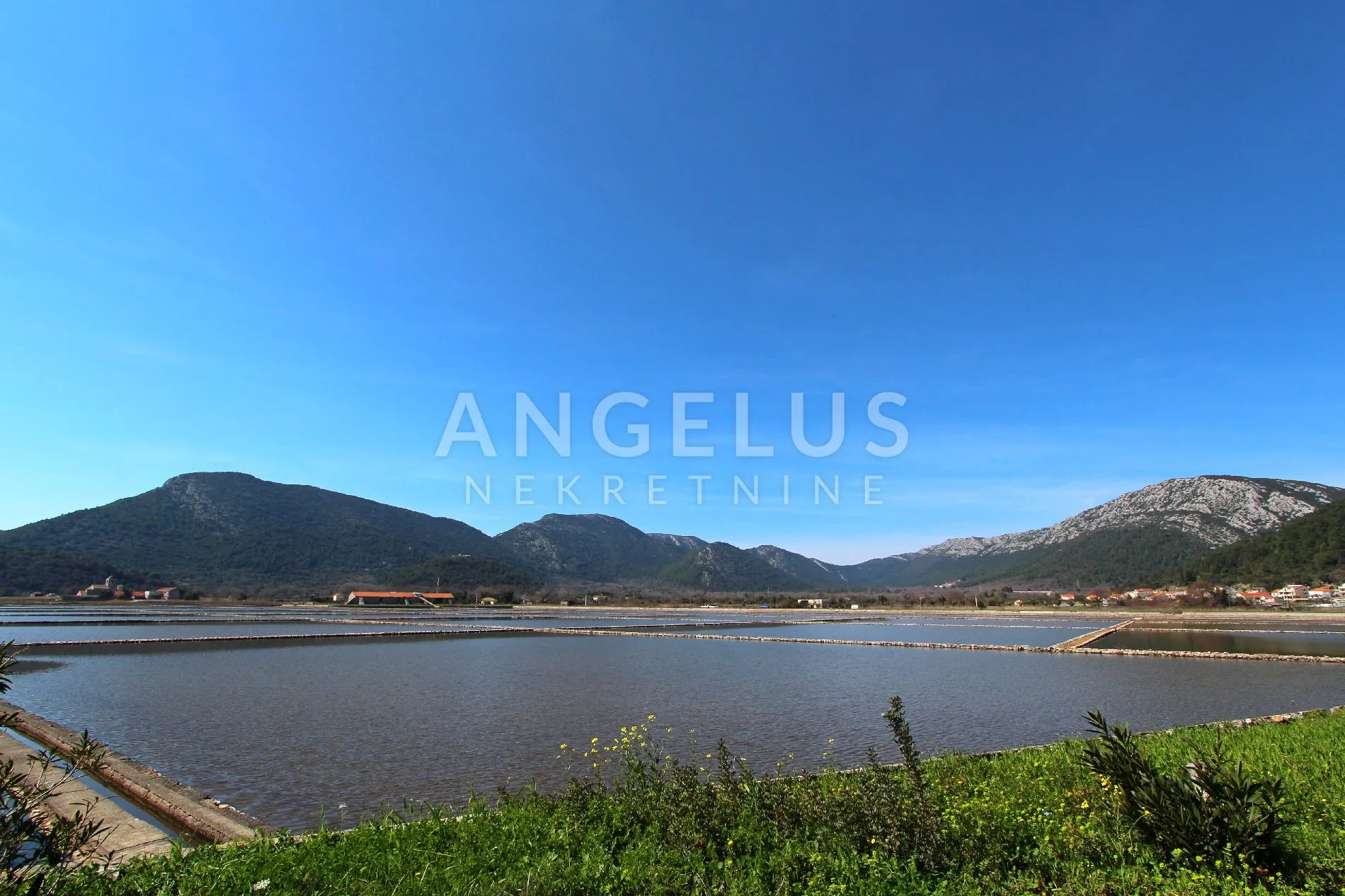 pelješac, ston - građevinsko zemljište južne orijentacije na blagoj padini, 22000 m2 - slika 7