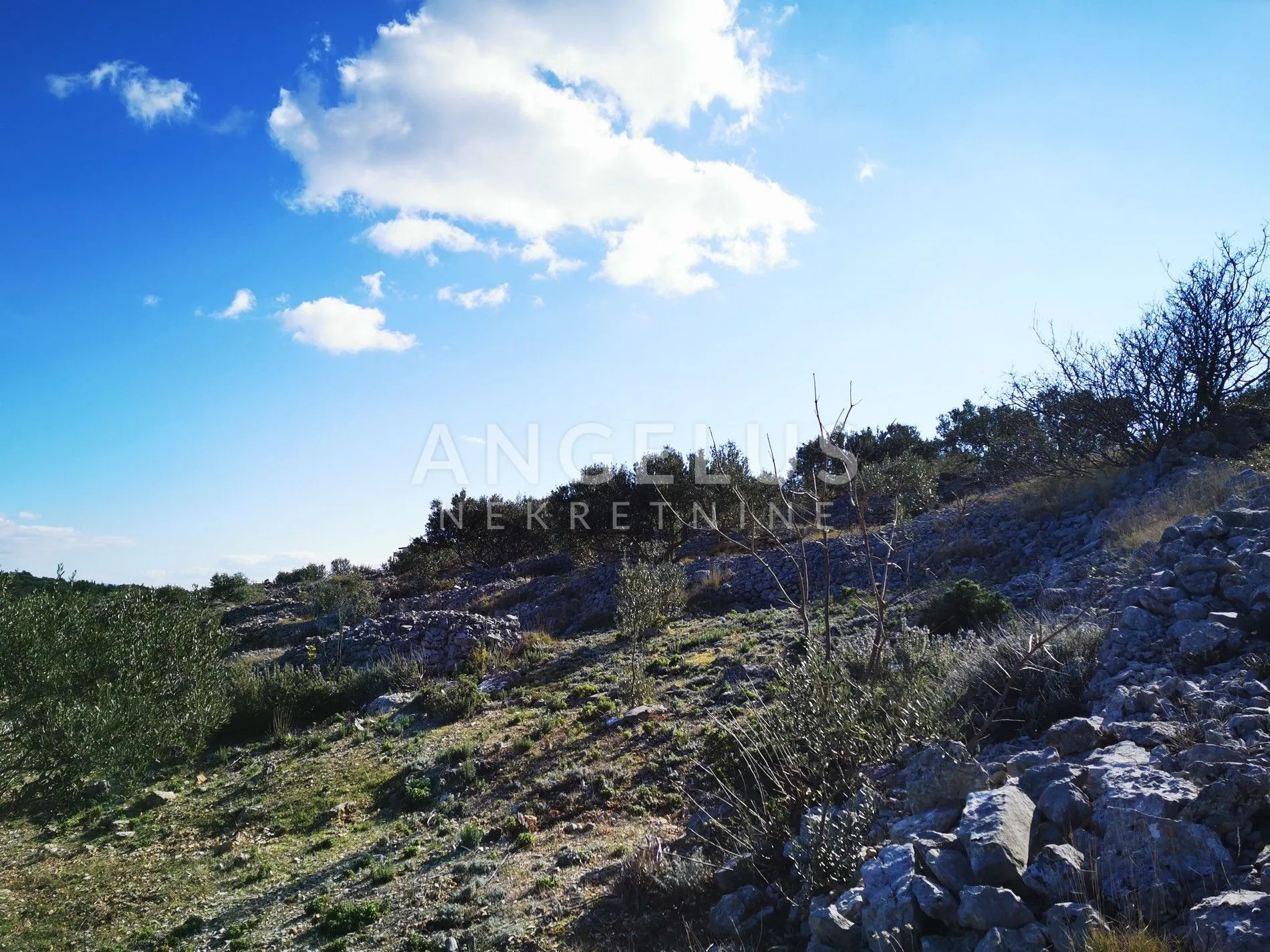 šolta - uređeni maslinik sa pogledom na more, 4800 m2 - slika 44