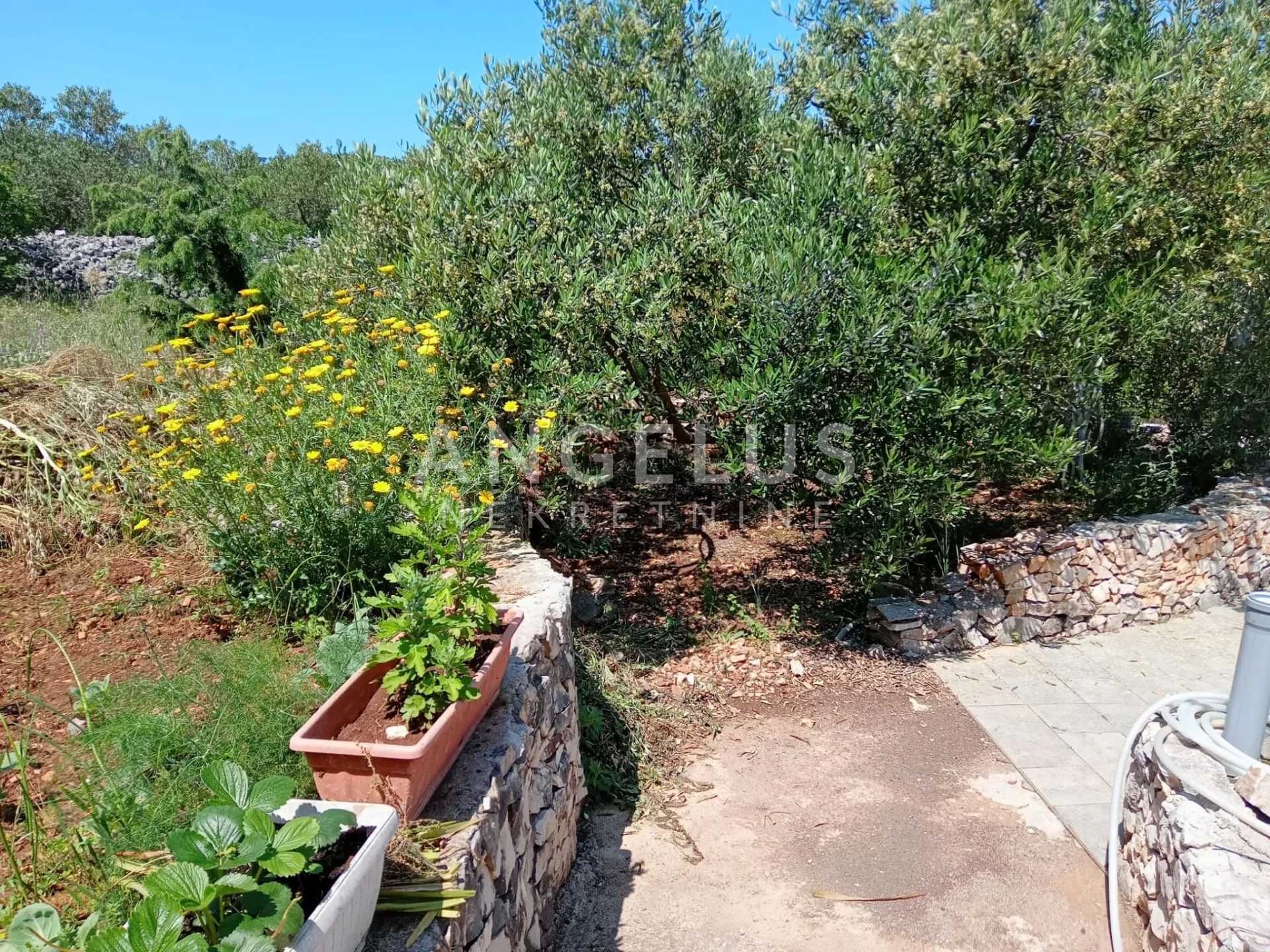 čiovo, slatine - apartmanska kuća sa bazenom prodaja - slika 7