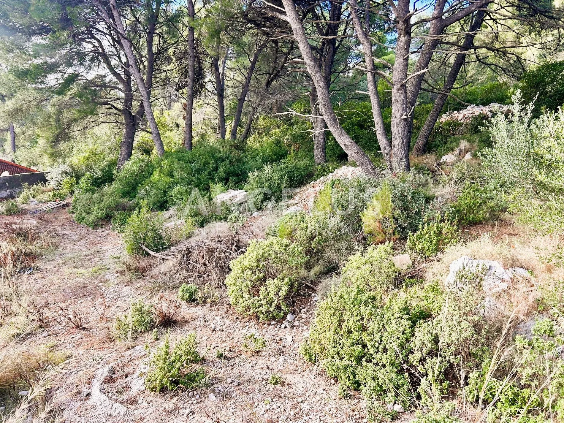 brač, sumartin - građ.zem. sa pogledom na more, prodaja - slika 9