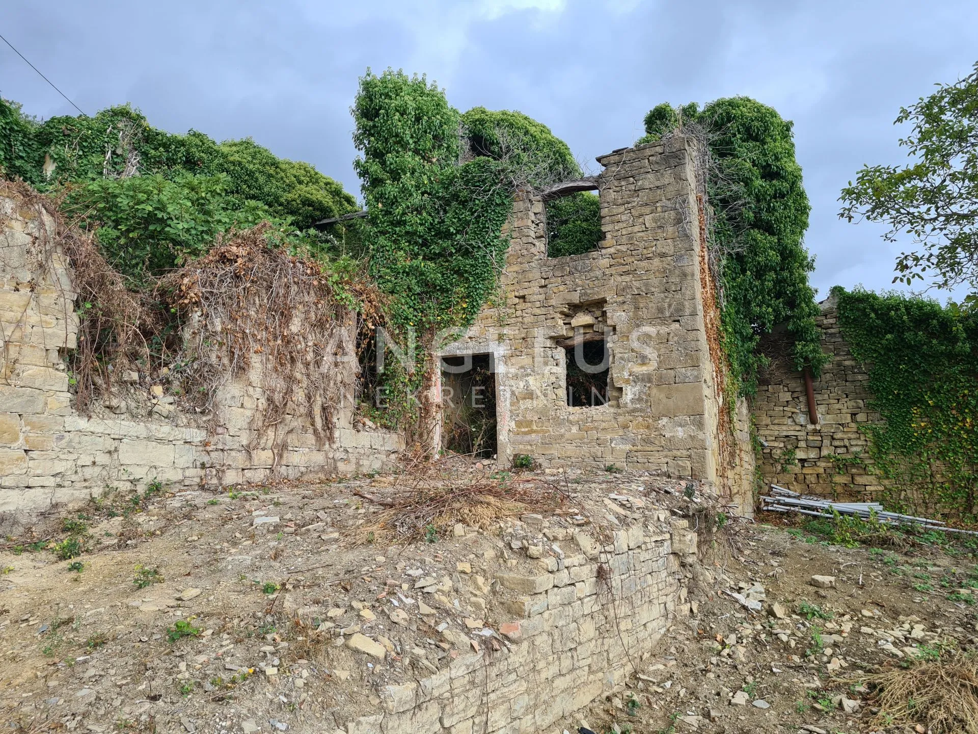 istra, motovun - imanje s objektima, 620m2 - slika 2