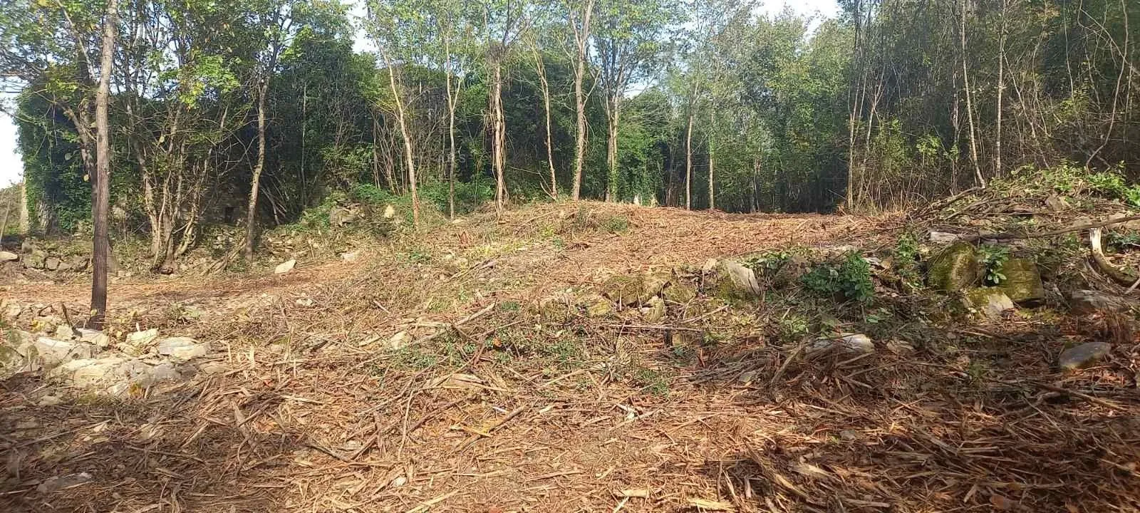 zelena oaza s 3 kamene kuće na 4.414 m2 građevinskog zemljišta - slika 11